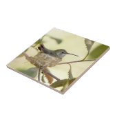 Carreau Colibri sur son nid (Côté)