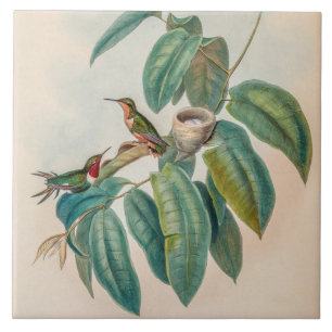 Carreau Colibris à tige fauve vintage