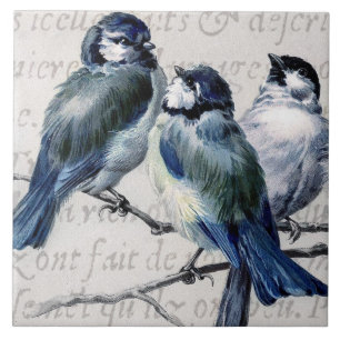 Carreau Collage bleu vintage d'oiseaux - oiseaux bleus