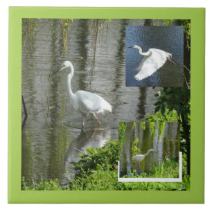 Carreau Collage d'aigrette couleur de bordure personnalisé