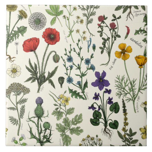Carreau Collage de fleurs sauvages (Devant)
