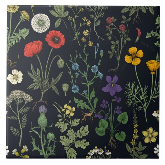 Carreau Collage de fleurs sauvages (Devant)