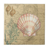 Carreau Collage de la carte côtière (Devant)