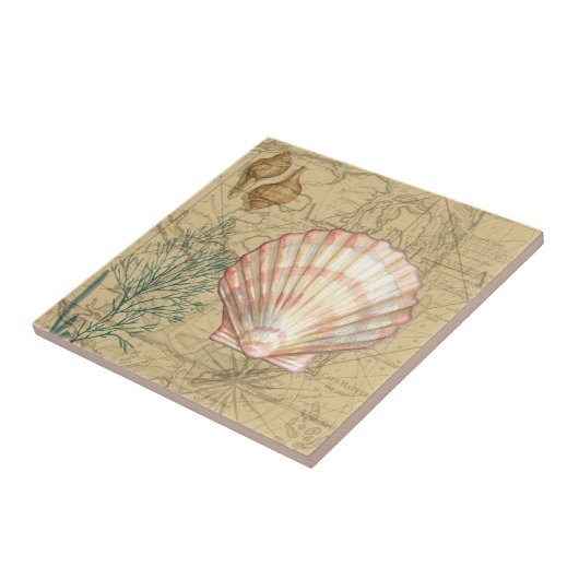 Carreau Collage de la carte côtière (Côté)