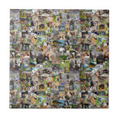 Carreau Collage de photos de chiens, (Devant)