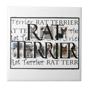 Carreau Collage de Rat terrier