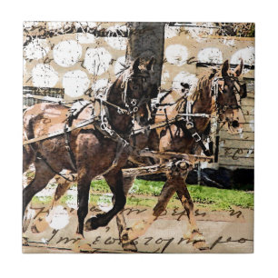 Carreau Collage multimédia mixte de l'équipe de deux cheva