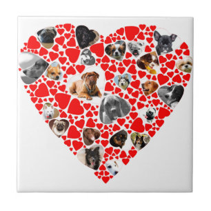 Carreau Collage photo de Valentine Heart Dog