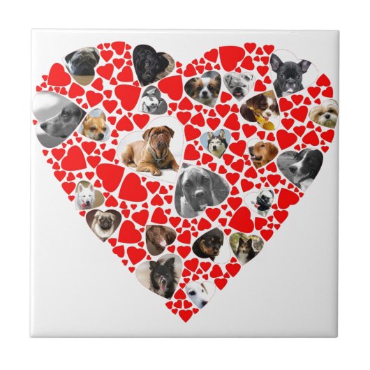 Carreau Collage photo de Valentine Heart Dog (Devant)