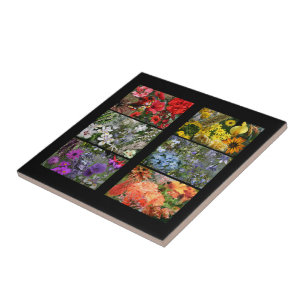 Carreau Collage photo Rainbow Flower