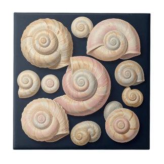 Carreau Collection de coquilles marines spirales beige ros