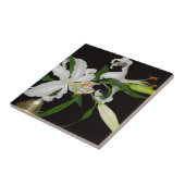 Carreau Collection Lily artistique-1 (Côté)