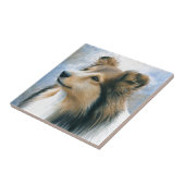 Carreau Colley de Sheltie du chien 122 (Côté)