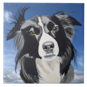 Carreau Collie noir et blanc  