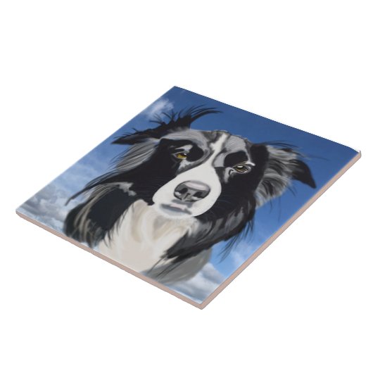 Carreau Collie noir et blanc (Côté)