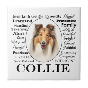 Carreau Collie Traits