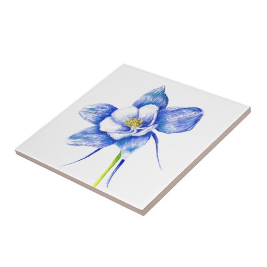 Carreau Colonne bleue (Côté)