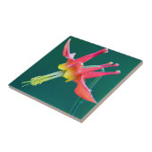 Carreau Colonne rouge (Côté)