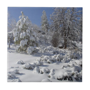 Carreau Colorado High Country Winter Tile