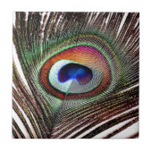 Carreau Colorful Copper Peacock Feather (Devant)