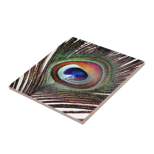 Carreau Colorful Copper Peacock Feather (Côté)