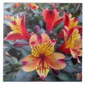 Carreau Colors de Summer (Devant)