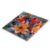 Carreau Colors de Summer (Côté)