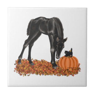 Carreau Colt Kitty de cheval de Halloween