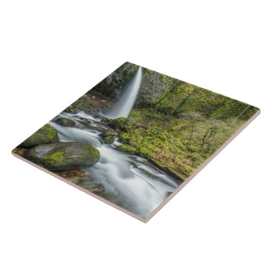 Carreau Columbia River Gorge, Ponytail Falls (Côté)