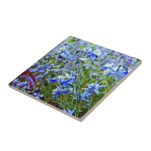 Carreau Columbines bleu - fleurs