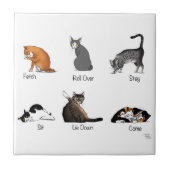Carreau Commandes Cat (Devant)