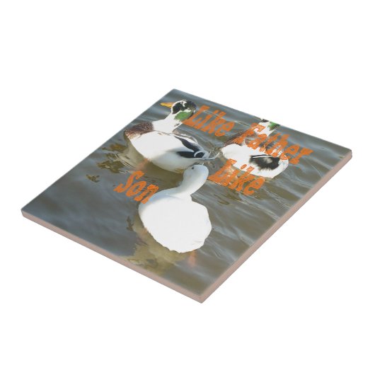 Carreau Comme Père Comme Fils. (Côté)