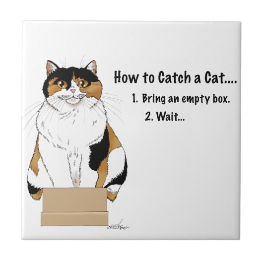 Carreau Comment attraper un chat (Devant)