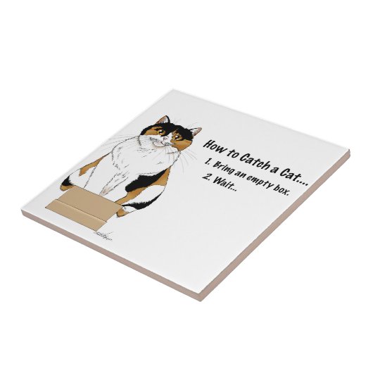 Carreau Comment attraper un chat (Côté)