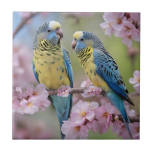 Carreau "Compagnons Vifs : Perruches Bleues et Jaunes"
