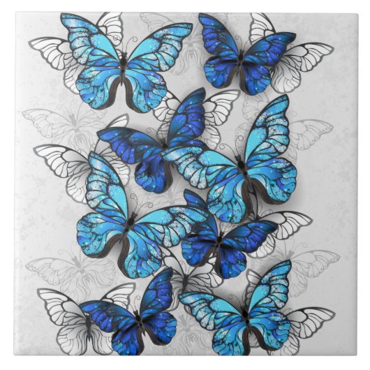 Carreau Composition de papillons blancs et bleus (Devant)