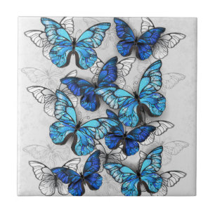 Carreau Composition de papillons blancs et bleus