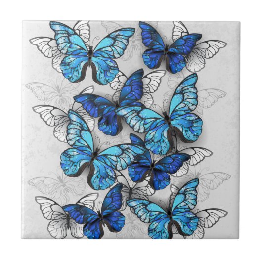 Carreau Composition de papillons blancs et bleus (Devant)