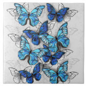 Carreau Composition des papillons blancs et bleus (Devant)