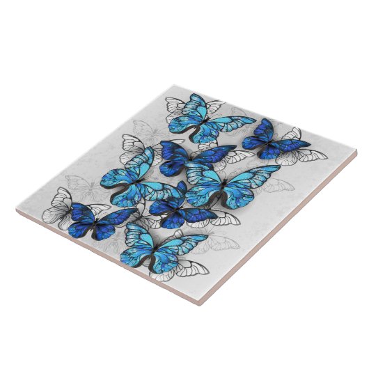 Carreau Composition des papillons blancs et bleus (Côté)