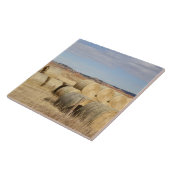 Carreau Comté de Crook, Balles de foin (Côté)