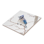 Carreau Comté de Wichita, Texas. Blue Jay (Côté)