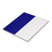 Carreau Conception de bleu marine et blanche de lycée de (Côté)