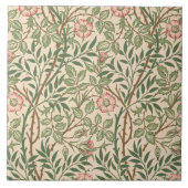 Carreau Conception "de Briar doux" pour le papier peint, (Devant)