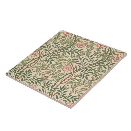 Carreau Conception "de Briar doux" pour le papier peint, (Côté)