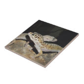 Carreau Conception de gecko de léopard pour tous ! (Côté)