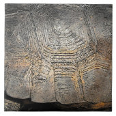 Carreau Conception de la coque de tortue Gopher (Devant)