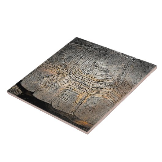 Carreau Conception de la coque de tortue Gopher (Côté)