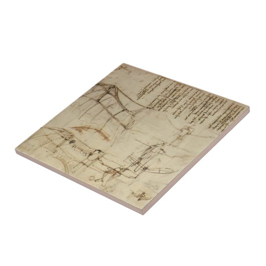 Carreau Conception de Leonardo DA Vinci- pour une machine (Côté)