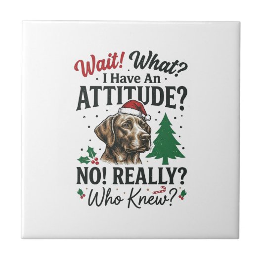 Carreau Conception de vecteur de Noël d'attitude de chien  (Devant)